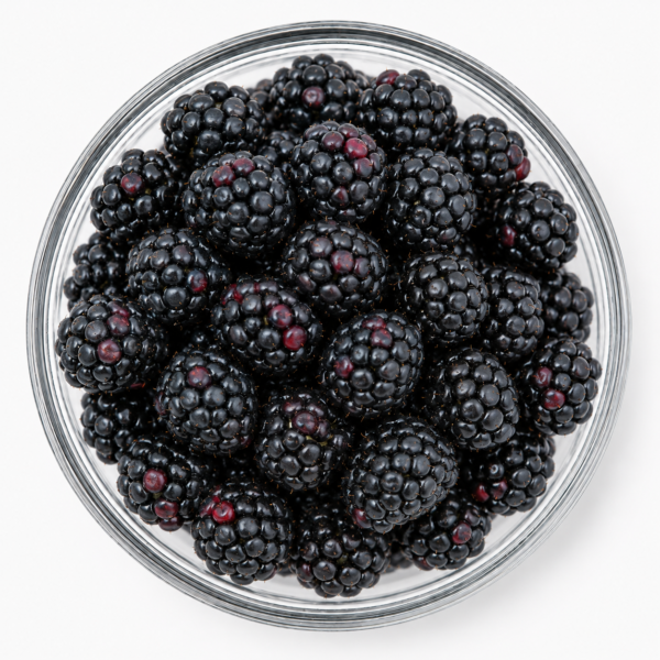 Black Berry USA (New) - 10Kg