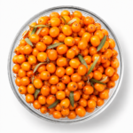 Sea Buckthorn