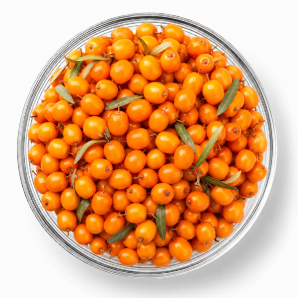 Sea Buckthorn Berry - 10Kg