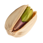 Roasted Pista